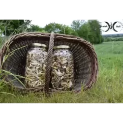 Image des chips de champignons séchés 200g / 2kg réhydratés, dans un panier sur de l'herbe