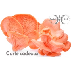 Cartes cadeau : Offrez le plaisir de cultiver ses propres champignons