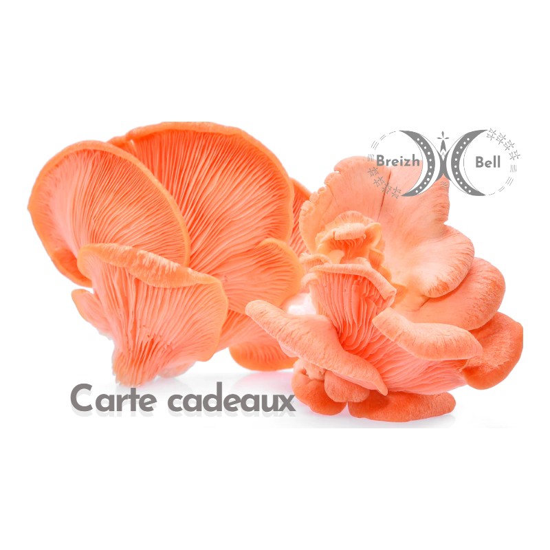 Cartes cadeau : Offrez le plaisir de cultiver ses propres champignons